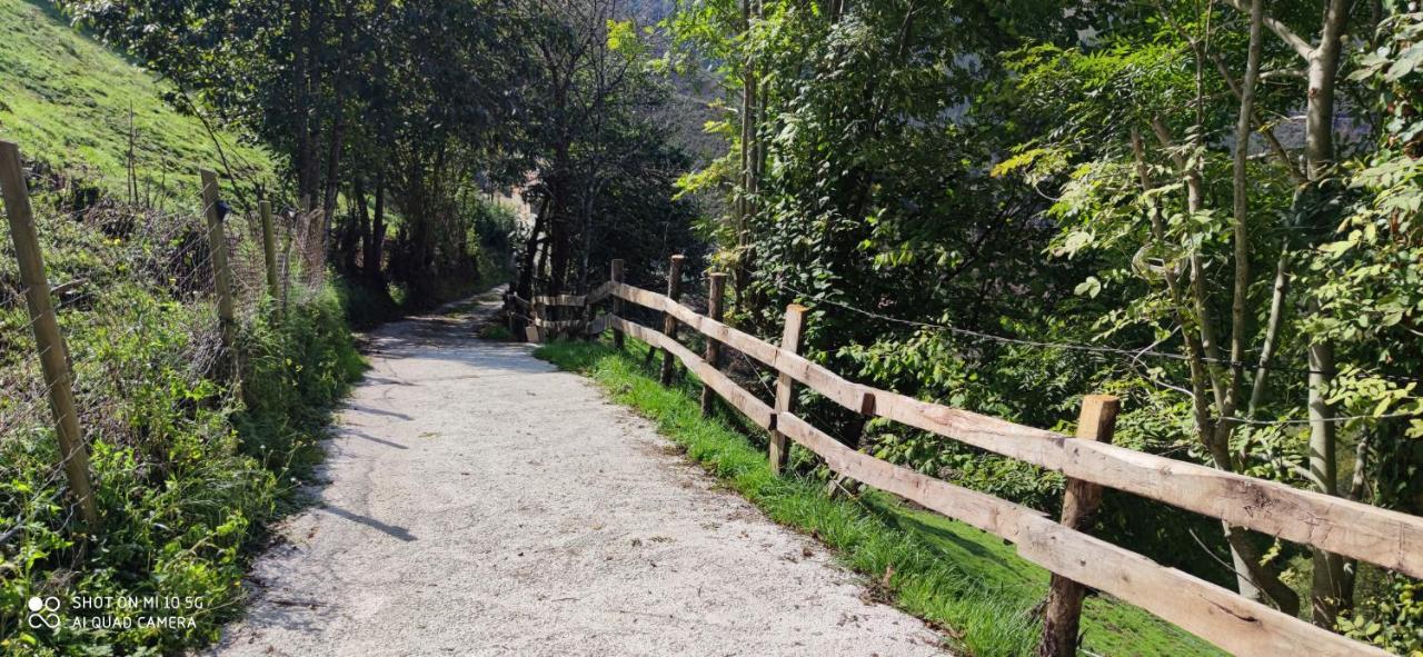 Casas De Aldea Granja Paraíso, Picos de Europa Cangas de Onís Exterior foto